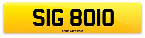 SIG 8010