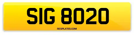 SIG 8020