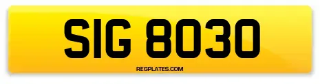 SIG 8030