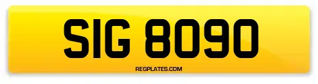SIG 8090