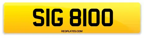 SIG 8100