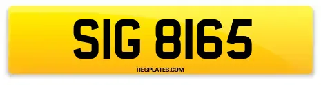 SIG 8165