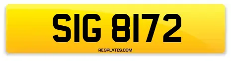 SIG 8172