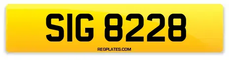 SIG 8228