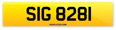 SIG 8281