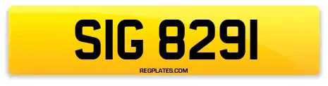 SIG 8291
