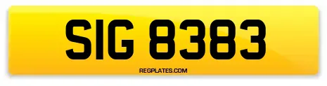 SIG 8383