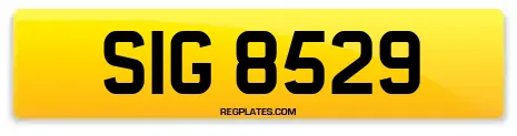 SIG 8529