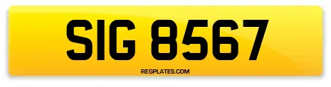 SIG 8567