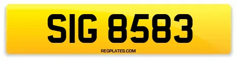 SIG 8583