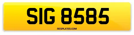SIG 8585