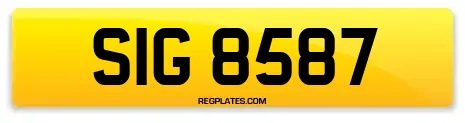 SIG 8587