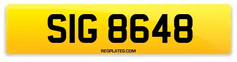 SIG 8648