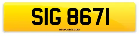 SIG 8671