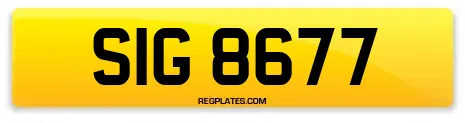 SIG 8677