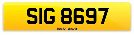 SIG 8697