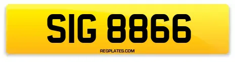 SIG 8866