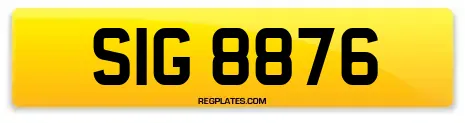 SIG 8876