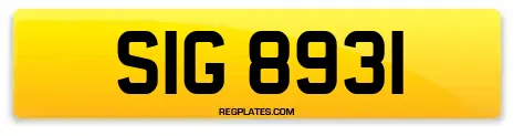 SIG 8931