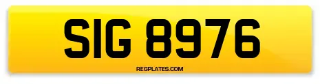 SIG 8976