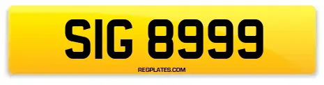 SIG 8999