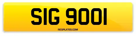 SIG 9001