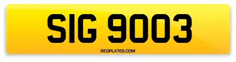 SIG 9003