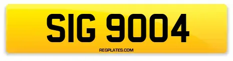 SIG 9004
