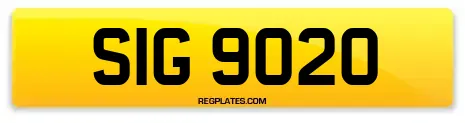 SIG 9020