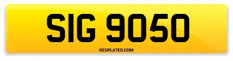 SIG 9050