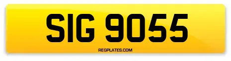 SIG 9055