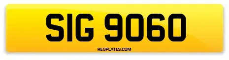 SIG 9060