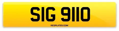 SIG 9110