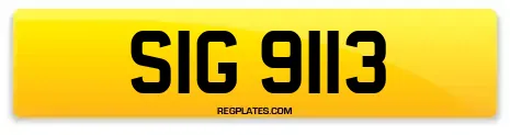 SIG 9113