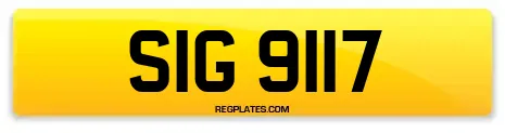 SIG 9117