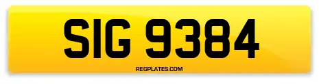 SIG 9384