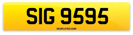 SIG 9595
