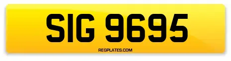 SIG 9695