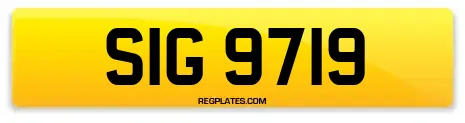 SIG 9719