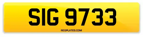 SIG 9733