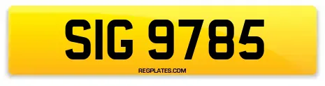 SIG 9785