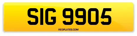 SIG 9905