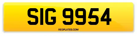SIG 9954