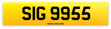 SIG 9955