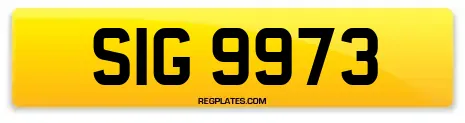 SIG 9973
