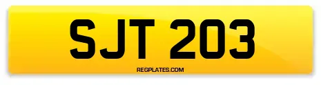 SJT 203