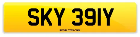 SKY 391Y