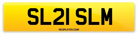 SL21 SLM