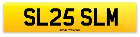 SL25 SLM