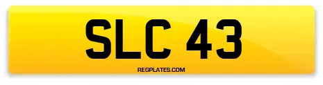 SLC 43